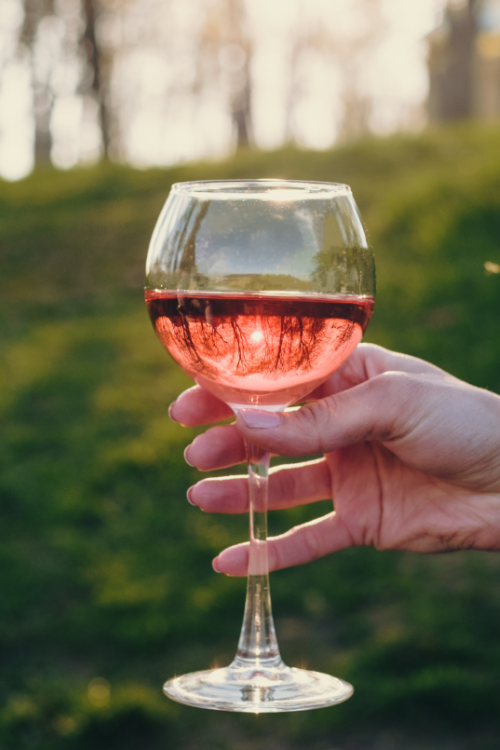 Vinho Rosé