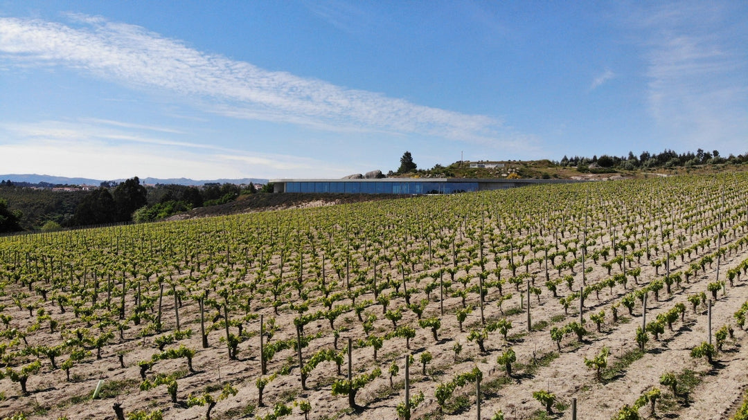 Quinta de Lemos