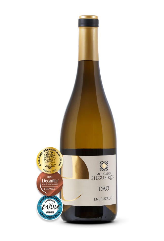 Vinhos