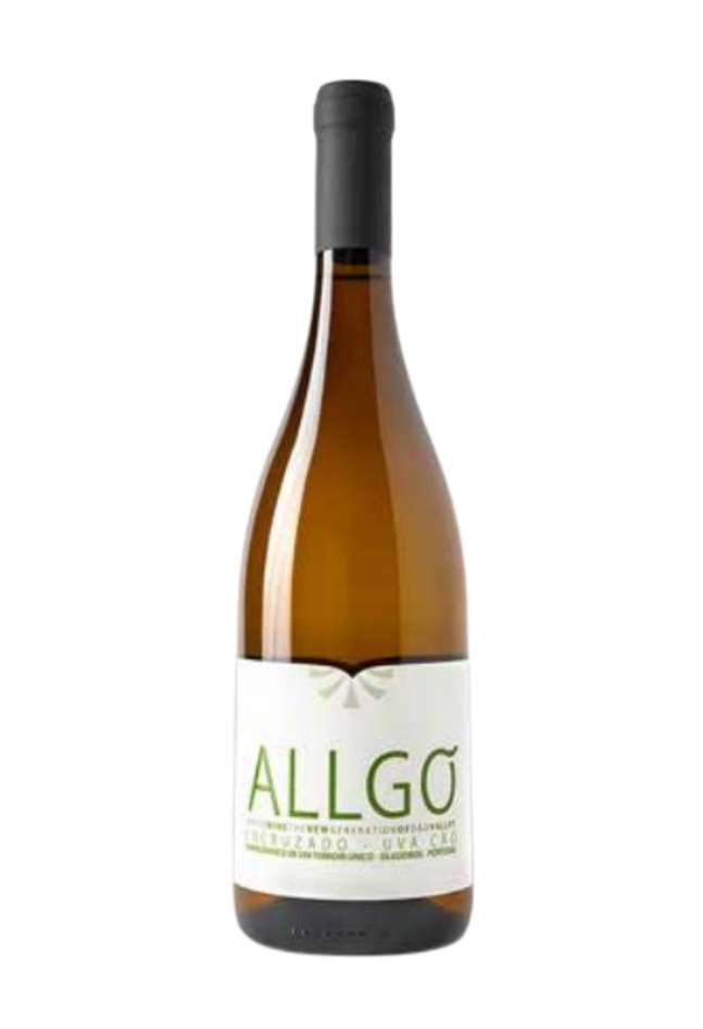 2023  Allgo branco