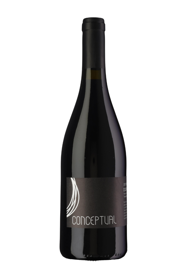 2020 CONCEPTUAL RESERVA -  Touriga Nacional e Jaen