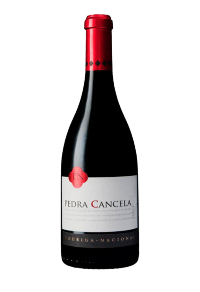PEDRA CANCELA Touriga-Nacional