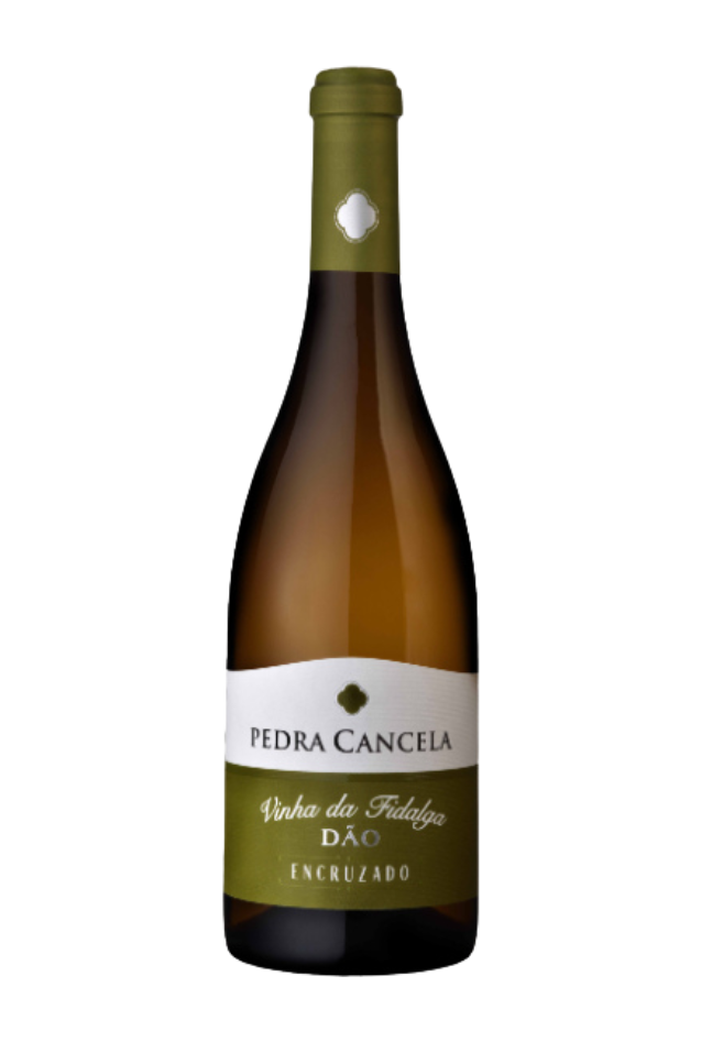 2023 PEDRA CANCELA Vinha da Fidalga Encruzado