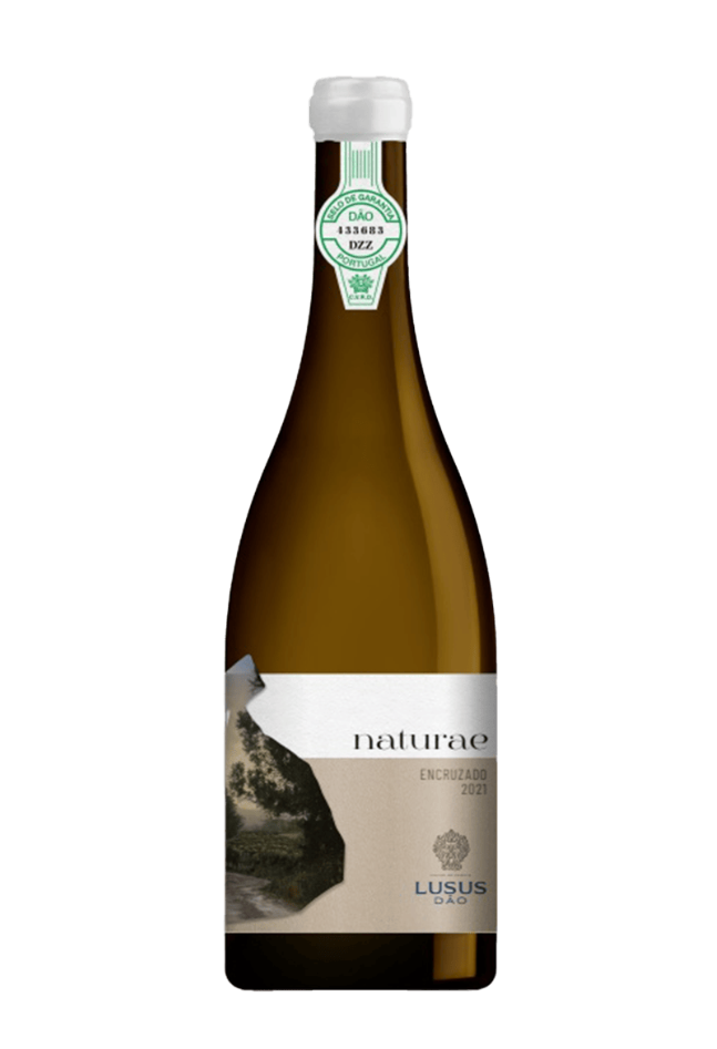 Naturae by Lusus Encruzado 2021